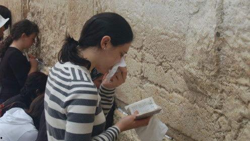 娱乐吃瓜君陶白白